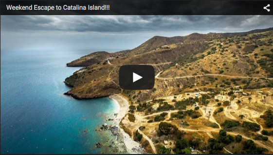 Catalina: Vagabrothers Style